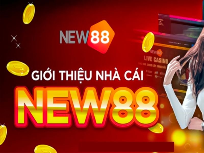 New 88 - Sôi động cùng thiên đường giải trí, cá cược số 1 Châu Á